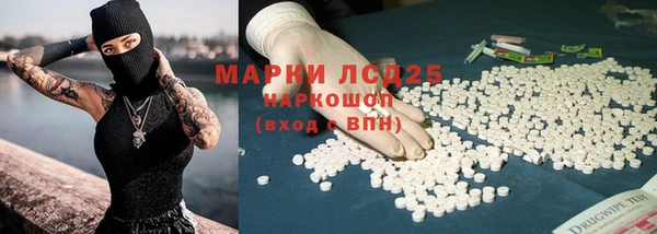 ПСИЛОЦИБИНОВЫЕ ГРИБЫ Алексеевка