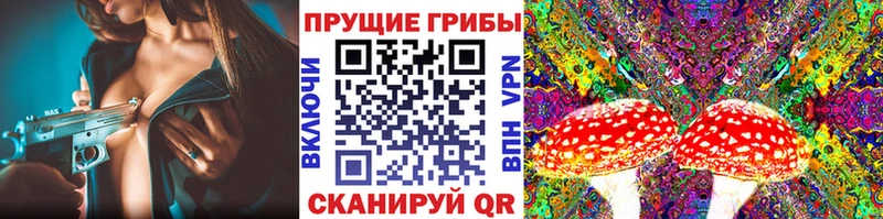 Псилоцибиновые грибы MAGIC MUSHROOMS  что такое наркотик  Удомля 